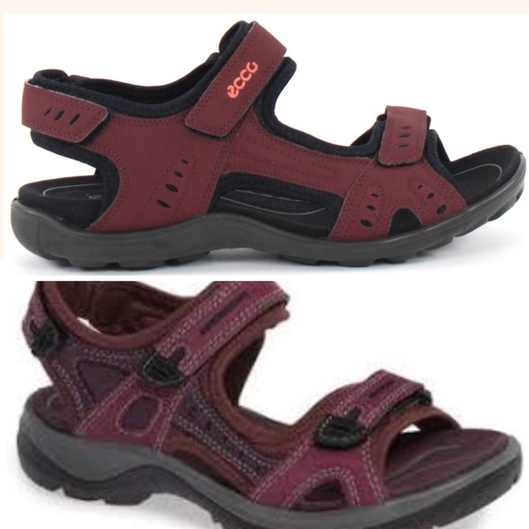 ecco hiking sandals womens